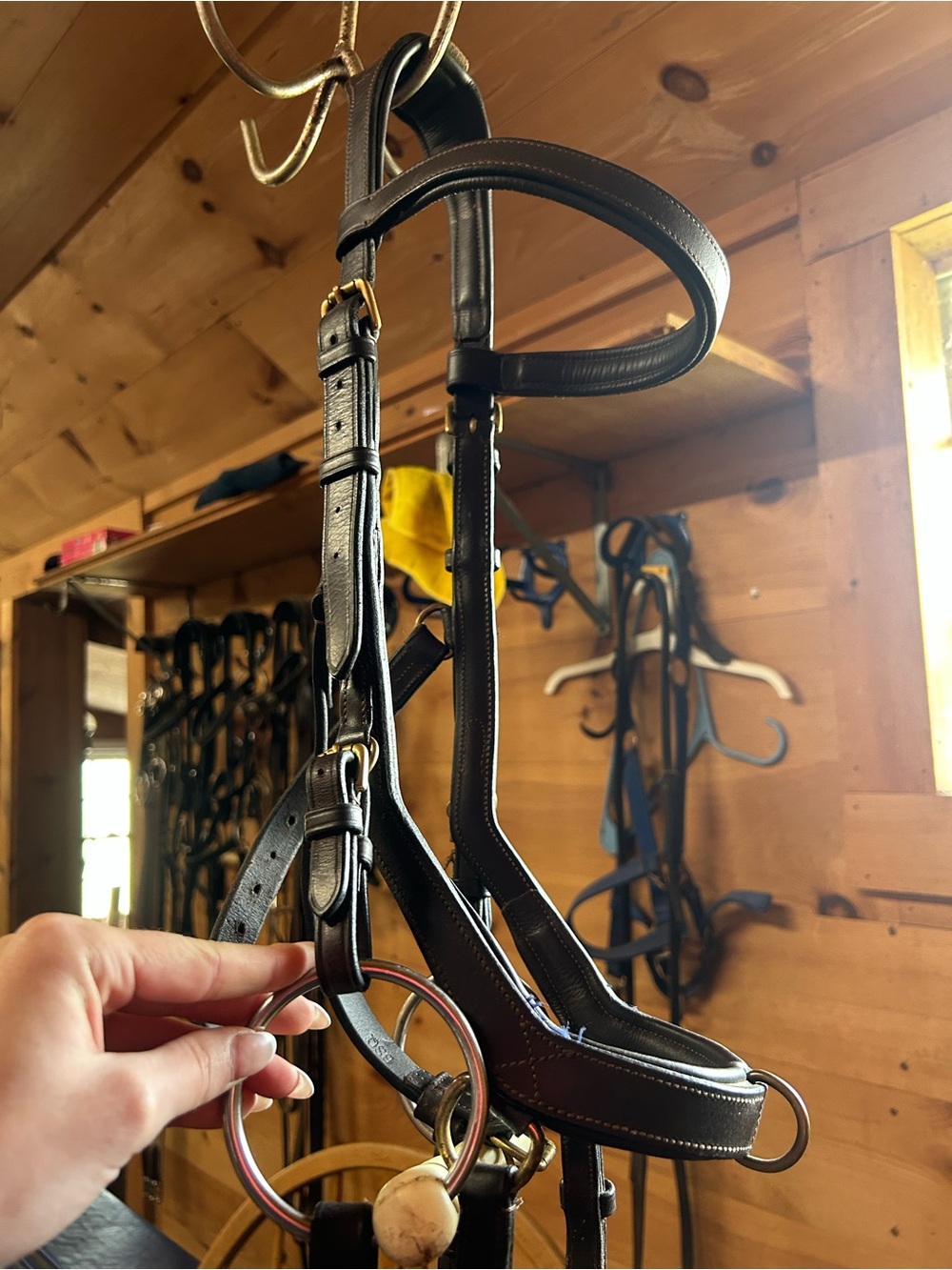 Brown Leather Bridle with Brass Hardware - Picture 3 of 7